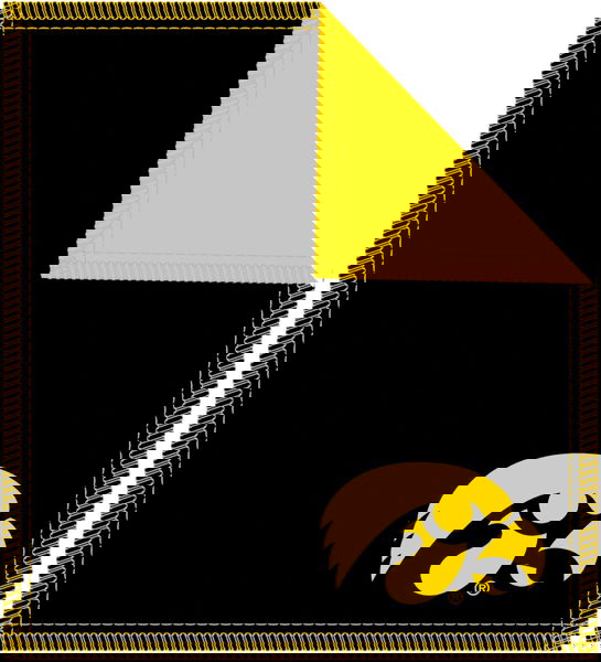 KR Strikeforce NCAA Shammy Iowa Hawkeyes Main Image