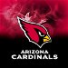 Review the KR Strikeforce NFL on Fire Towel Arizona Cardinals