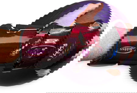 Robbys Revs 2 Right Hand Alt Image