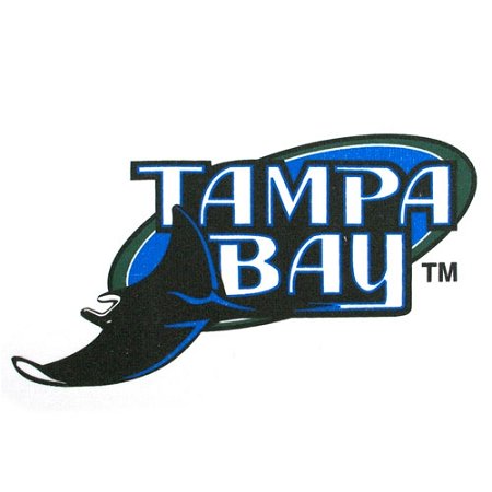 Master MLB Tampa Bay Rays Towel Main Image