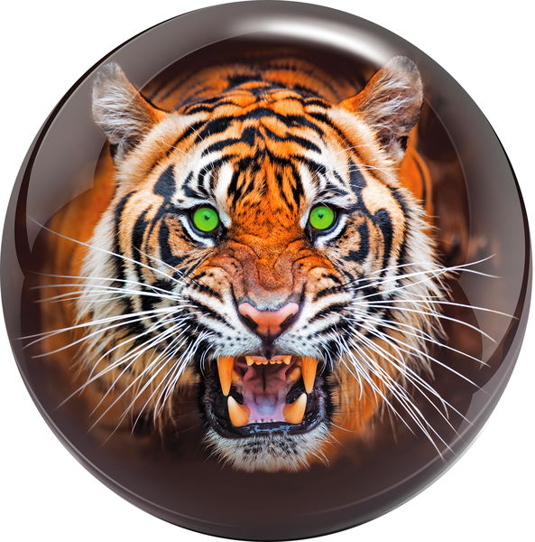 Brunswick Tiger Viz-A-Ball-ALMOST NEW Main Image