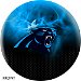 KR Strikeforce NFL on Fire Carolina Panthers Ball Main Image