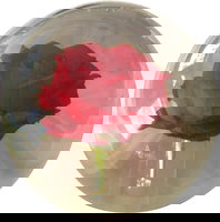 KR Strikeforce Clear Red Rose Ball ALT Image