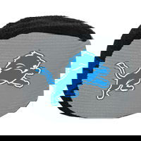 Detroit Lions