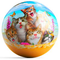 OnTheBallBowling Cats Ball MAIN Image