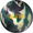 Trending Product : Storm Equinox Solid