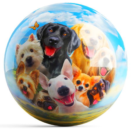 OnTheBallBowling Dogs Ball Main Image