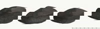 Storm Power Glove Right Hand Red ALT Image