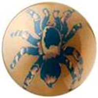 Ebonite Optyx Spider Main Image