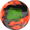 Trending Product : 900Global Harsh Reality Pearl