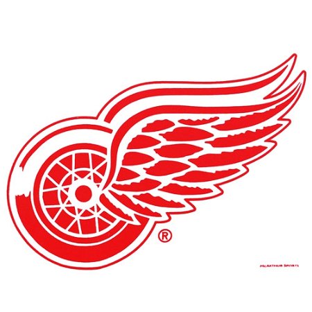 Master NHL Detroit Red Wings Towel Main Image