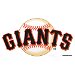 Review the Master MLB San Francisco Giants Towel