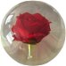 KR Strikeforce Clear Red Rose Ball Alt Image