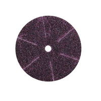 Master Sanding Discs 1-3/4in 100pk MAIN Image