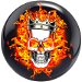 Review the Brunswick Flaming Skull Viz-A-Ball