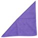 Review the Ebonite Economy Microfiber Towel Purple
