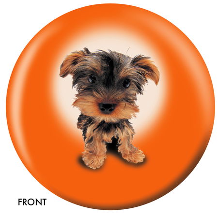 OnTheBallBowling Yorkshire Terrier Main Image