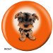 Review the OnTheBallBowling Yorkshire Terrier