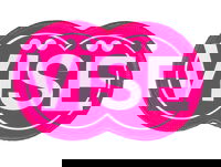 Vise Shammy Pad Pink MAIN Image