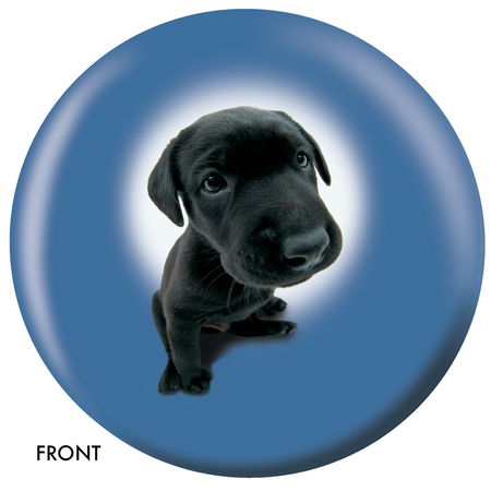 OnTheBallBowling Labrador Retriever Main Image