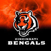 KR Strikeforce NFL on Fire Towel Cincinnati Bengals MAIN Image
