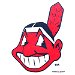 Review the Master MLB Cleveland Indians Towel