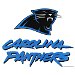 Review the Master NFL Carolina Panthers Towel