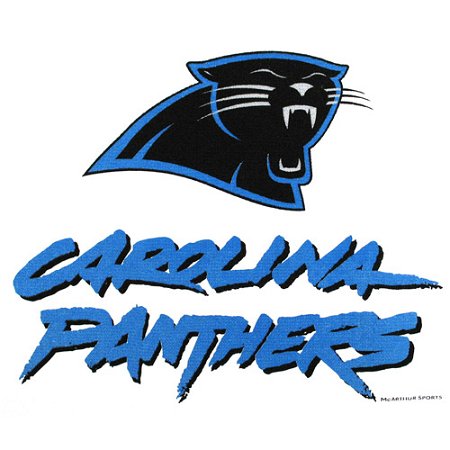 Master NFL Carolina Panthers Towel Main Image