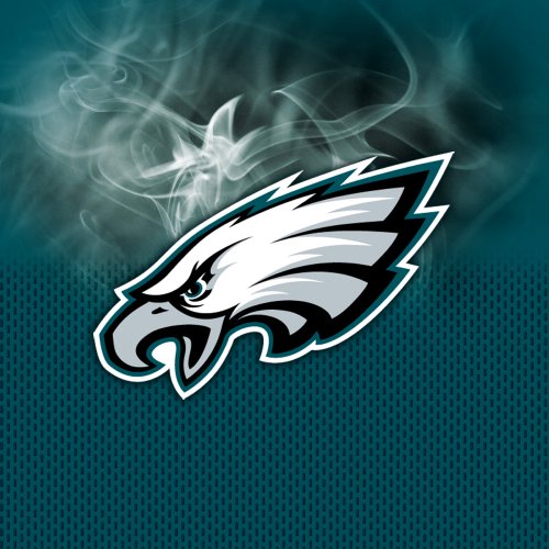 KR Strikeforce NFL on Fire Towel Philadelphia Eagles Main Image
