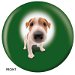 Review the OnTheBallBowling Jack Russell Terrier