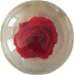 KR Strikeforce Clear Red Rose Ball Alt Image