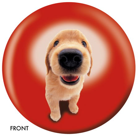 OnTheBallBowling Golden Retriever Main Image