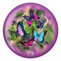 Brunswick Butterflies Glow Viz-a-Ball BACK Image