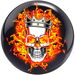 Review the Brunswick Flaming Skull Viz-A-Ball-ALMOST NEW