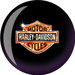 Review the Brunswick Mini Harley Baby Viz-A-Ball