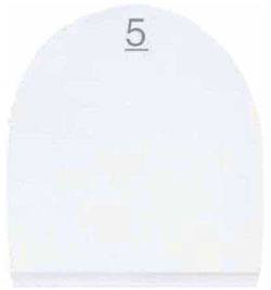 Dexter SST Standard Flat Rubber Heel (H5) Bowling Shoes