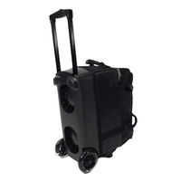 Elite Deluxe 2 Ball Roller Black ALT Image