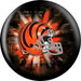 Review the KR NFL Cincinnati Bengals Viz-A-Ball