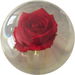 Review the KR Strikeforce Clear Red Rose Ball