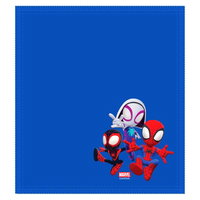 Spidey & Friends