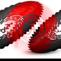 Alabama Crimson Tide