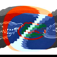 KR Strikeforce NCAA Grip Ball Florida Gators MAIN Image