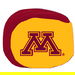 Review the KR Strikeforce NCAA Grip Ball Minnesota Golden Gophers