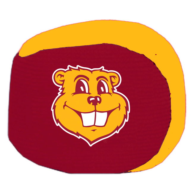 KR Strikeforce NCAA Grip Ball Minnesota Golden Gophers + Free Shipping