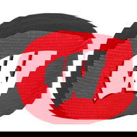Wisconsin Badgers