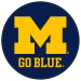 Review the KR Strikeforce NCAA Round Rubber Shammy Michigan Wolverines