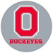 Review the KR Strikeforce NCAA Round Rubber Shammy Ohio State Buckeyes