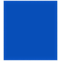 KR Strikeforce NCAA Shammy Florida Gators BACK Image