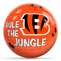 Cincinnati Bengals 