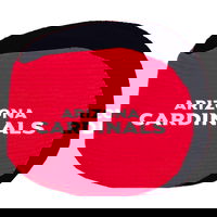 KR Strikeforce NFL Grip Ball Arizona Cardinals ALT Image